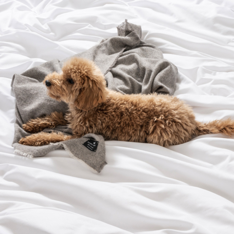 elisabettabonaiti_homedecor_cashmere_2